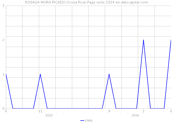 ROSALIA MORA PICADO (Costa Rica) Page visits 2024 