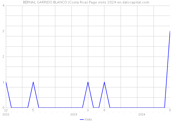 BERNAL GARRIDO BLANCO (Costa Rica) Page visits 2024 