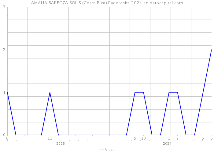 AMALIA BARBOZA SOLIS (Costa Rica) Page visits 2024 