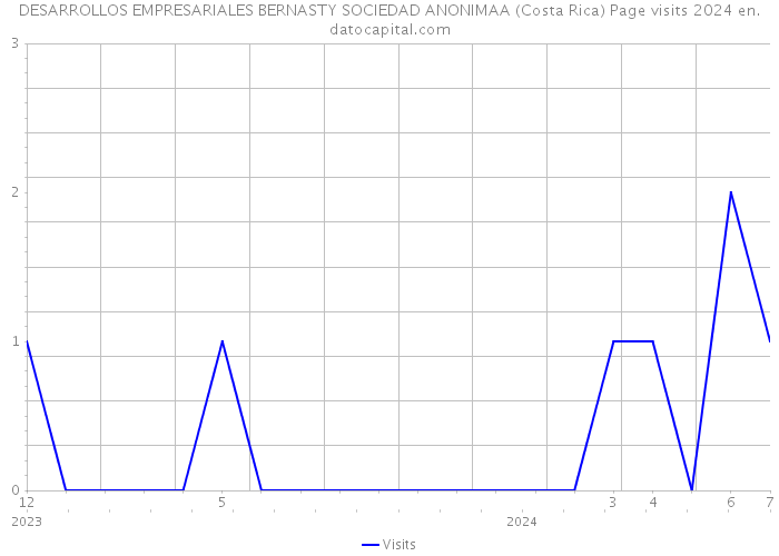 DESARROLLOS EMPRESARIALES BERNASTY SOCIEDAD ANONIMAA (Costa Rica) Page visits 2024 