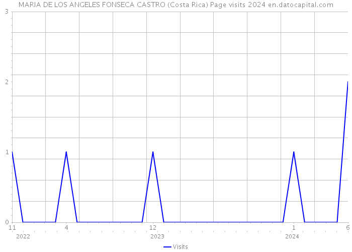 MARIA DE LOS ANGELES FONSECA CASTRO (Costa Rica) Page visits 2024 