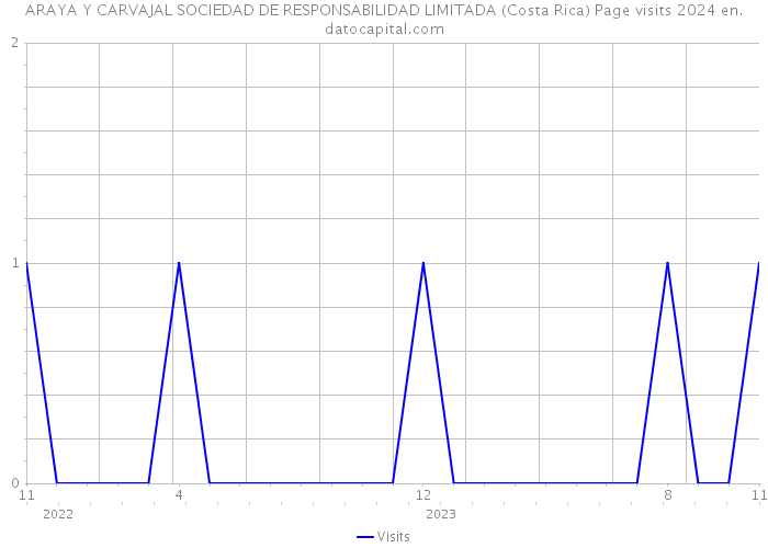 ARAYA Y CARVAJAL SOCIEDAD DE RESPONSABILIDAD LIMITADA (Costa Rica) Page visits 2024 