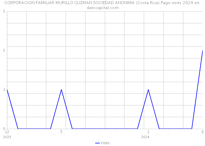 CORPORACION FAMILIAR MURILLO GUZMAN SOCIEDAD ANONIMA (Costa Rica) Page visits 2024 