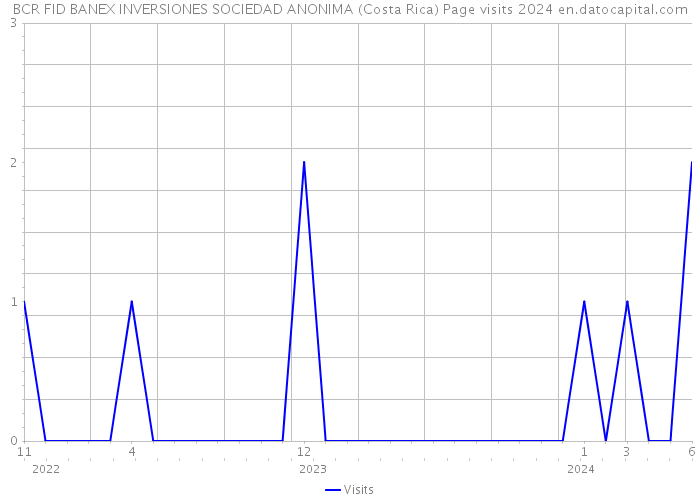 BCR FID BANEX INVERSIONES SOCIEDAD ANONIMA (Costa Rica) Page visits 2024 