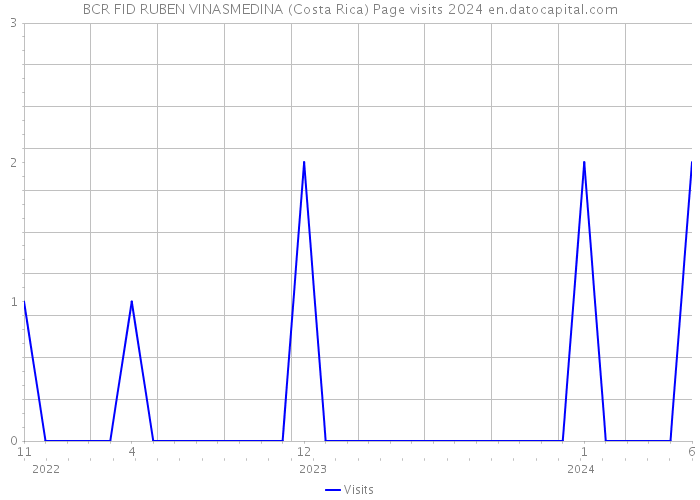 BCR FID RUBEN VINASMEDINA (Costa Rica) Page visits 2024 