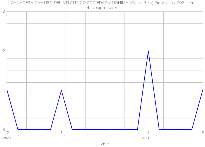 GANADERA CAMURO DEL ATLANTICO SOCIEDAD ANONIMA (Costa Rica) Page visits 2024 