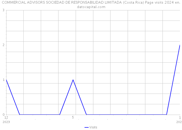 COMMERCIAL ADVISORS SOCIEDAD DE RESPONSABILIDAD LIMITADA (Costa Rica) Page visits 2024 