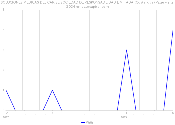 SOLUCIONES MEDICAS DEL CARIBE SOCIEDAD DE RESPONSABILIDAD LIMITADA (Costa Rica) Page visits 2024 