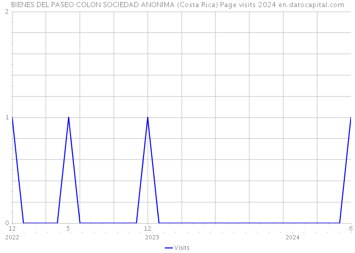 BIENES DEL PASEO COLON SOCIEDAD ANONIMA (Costa Rica) Page visits 2024 