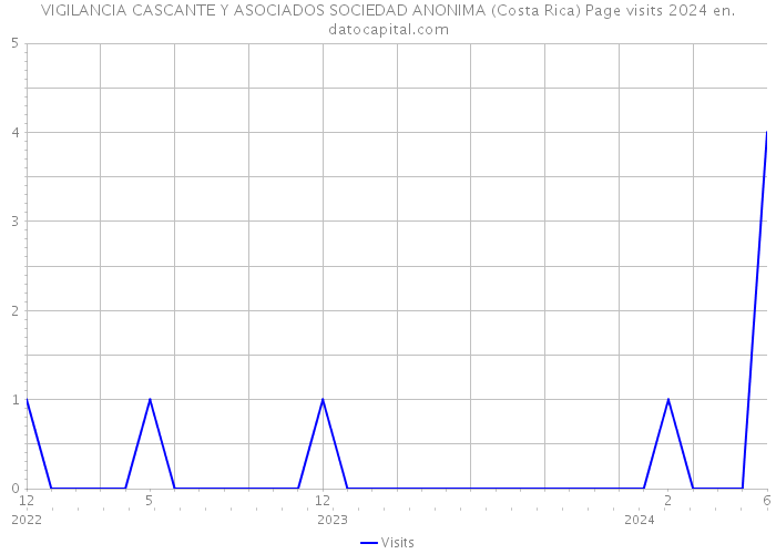 VIGILANCIA CASCANTE Y ASOCIADOS SOCIEDAD ANONIMA (Costa Rica) Page visits 2024 