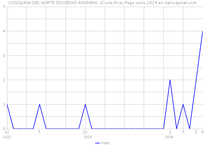 COSIQUINA DEL NORTE SOCIEDAD ANONIMA. (Costa Rica) Page visits 2024 