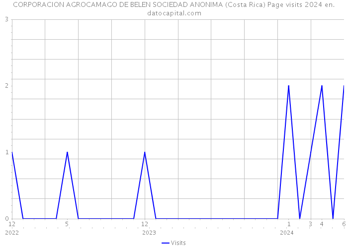 CORPORACION AGROCAMAGO DE BELEN SOCIEDAD ANONIMA (Costa Rica) Page visits 2024 