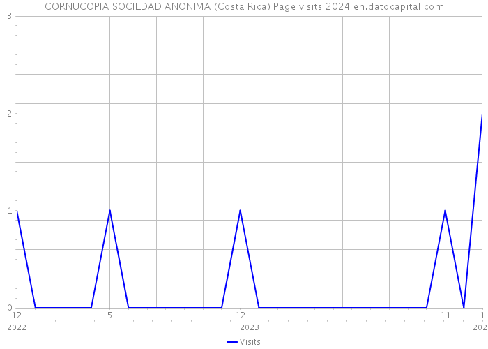 CORNUCOPIA SOCIEDAD ANONIMA (Costa Rica) Page visits 2024 