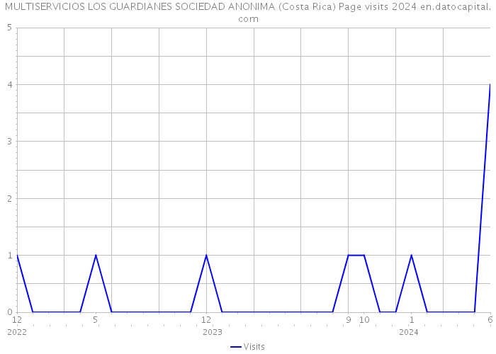 MULTISERVICIOS LOS GUARDIANES SOCIEDAD ANONIMA (Costa Rica) Page visits 2024 