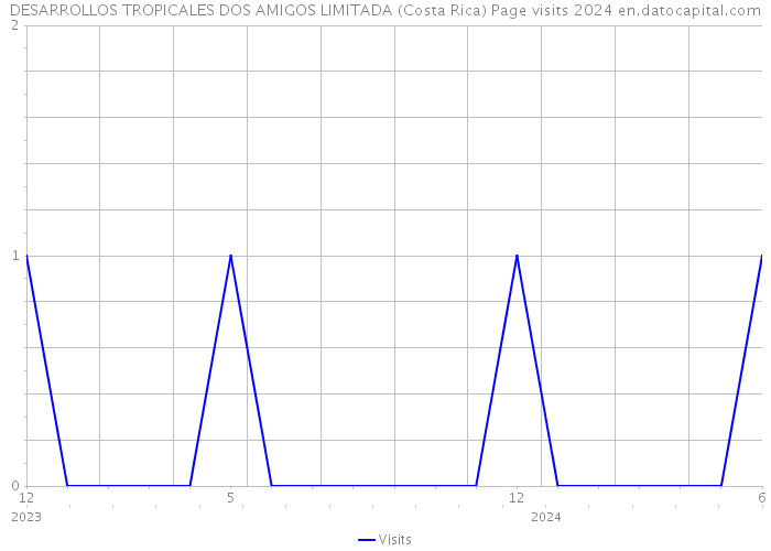 DESARROLLOS TROPICALES DOS AMIGOS LIMITADA (Costa Rica) Page visits 2024 