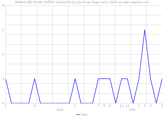 MARIA DEL PILAR CAÑAS VILLALON (Costa Rica) Page visits 2024 
