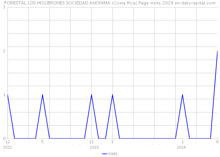 FORESTAL LOS HIGUERONES SOCIEDAD ANONIMA (Costa Rica) Page visits 2024 