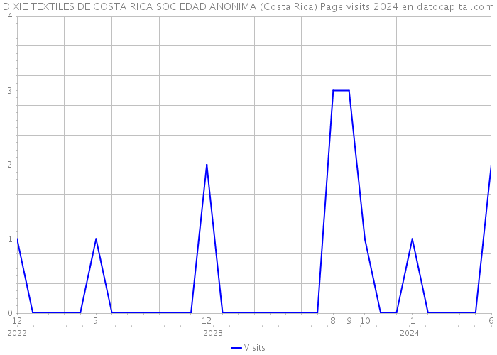 DIXIE TEXTILES DE COSTA RICA SOCIEDAD ANONIMA (Costa Rica) Page visits 2024 