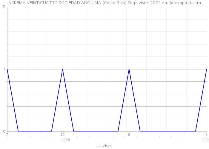 ARKEMA VEINTICUATRO SOCIEDAD ANONIMA (Costa Rica) Page visits 2024 
