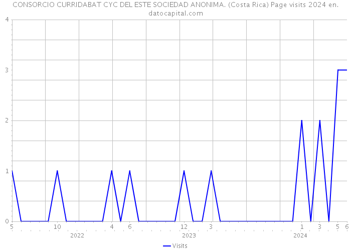 CONSORCIO CURRIDABAT CYC DEL ESTE SOCIEDAD ANONIMA. (Costa Rica) Page visits 2024 