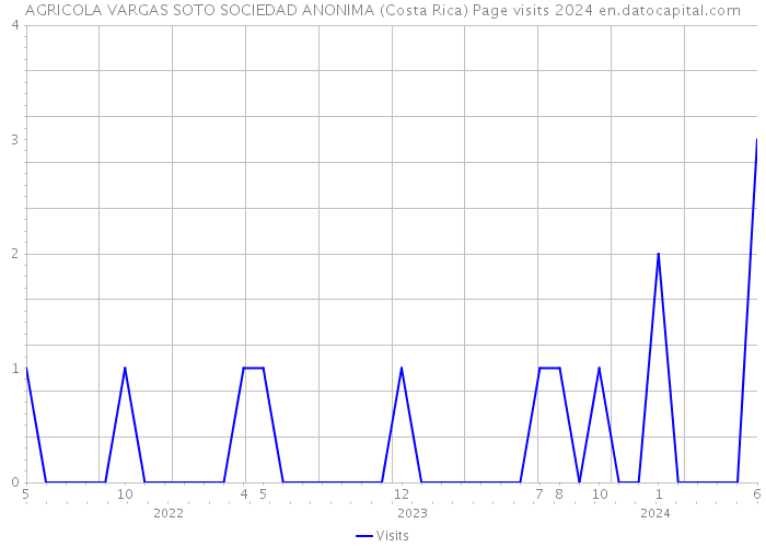 AGRICOLA VARGAS SOTO SOCIEDAD ANONIMA (Costa Rica) Page visits 2024 