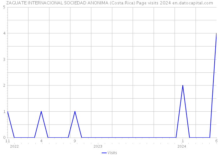 ZAGUATE INTERNACIONAL SOCIEDAD ANONIMA (Costa Rica) Page visits 2024 