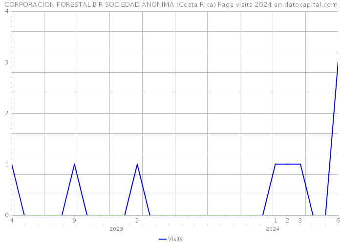 CORPORACION FORESTAL B R SOCIEDAD ANONIMA (Costa Rica) Page visits 2024 