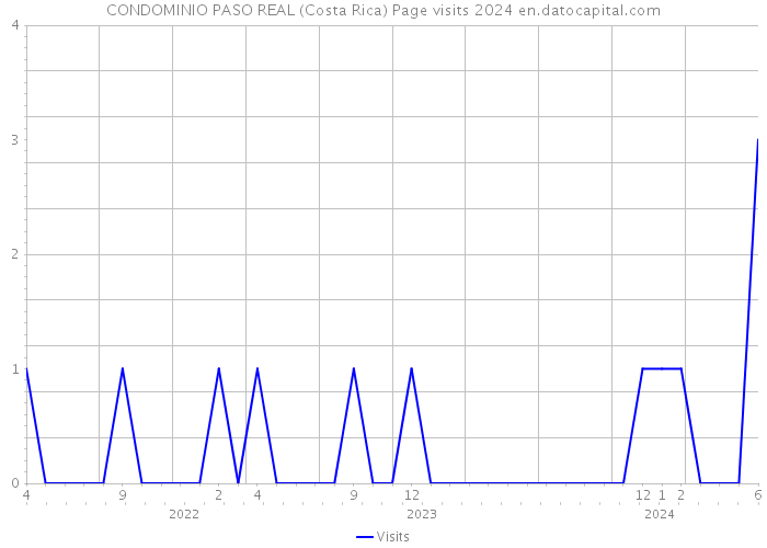 CONDOMINIO PASO REAL (Costa Rica) Page visits 2024 