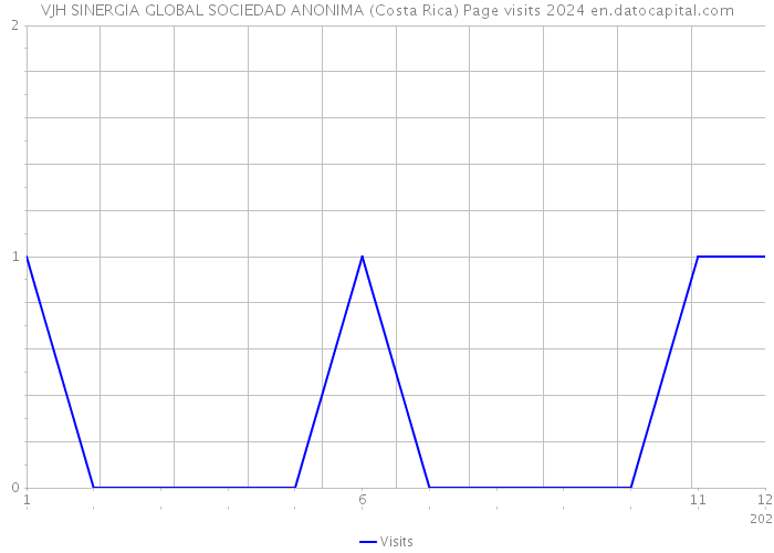 VJH SINERGIA GLOBAL SOCIEDAD ANONIMA (Costa Rica) Page visits 2024 