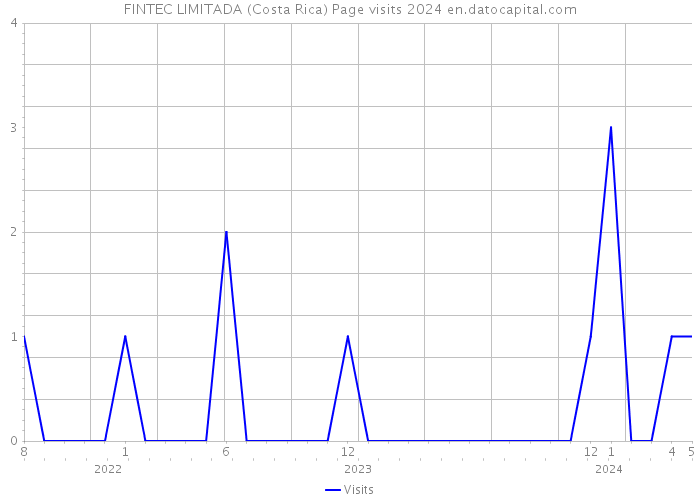 FINTEC LIMITADA (Costa Rica) Page visits 2024 