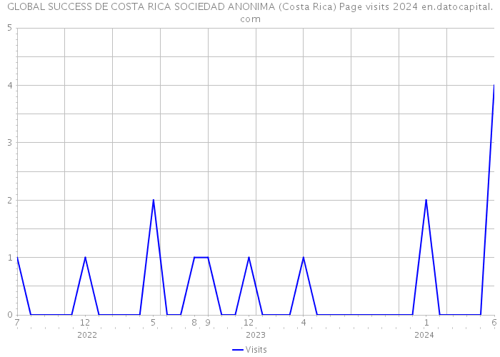 GLOBAL SUCCESS DE COSTA RICA SOCIEDAD ANONIMA (Costa Rica) Page visits 2024 
