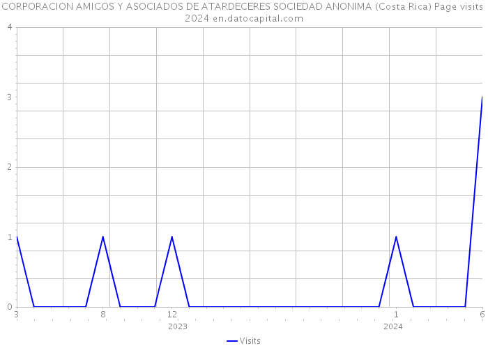 CORPORACION AMIGOS Y ASOCIADOS DE ATARDECERES SOCIEDAD ANONIMA (Costa Rica) Page visits 2024 