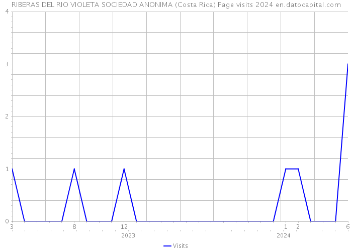 RIBERAS DEL RIO VIOLETA SOCIEDAD ANONIMA (Costa Rica) Page visits 2024 