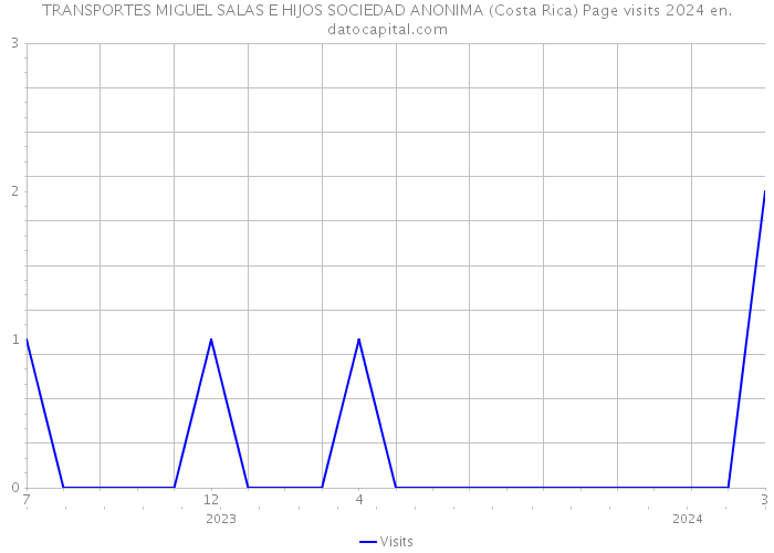 TRANSPORTES MIGUEL SALAS E HIJOS SOCIEDAD ANONIMA (Costa Rica) Page visits 2024 