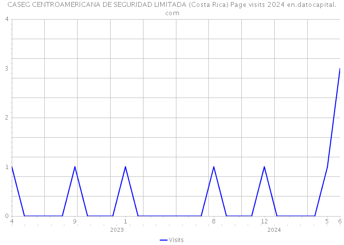 CASEG CENTROAMERICANA DE SEGURIDAD LIMITADA (Costa Rica) Page visits 2024 