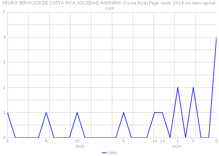NEURO SERVICIOS DE COSTA RICA SOCIEDAD ANONIMA (Costa Rica) Page visits 2024 