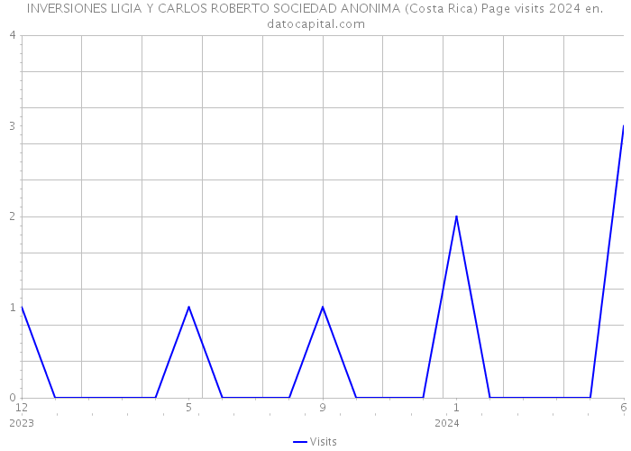 INVERSIONES LIGIA Y CARLOS ROBERTO SOCIEDAD ANONIMA (Costa Rica) Page visits 2024 