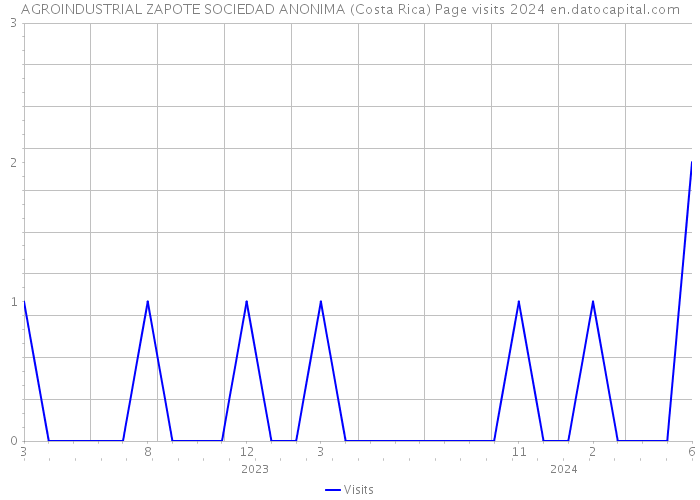 AGROINDUSTRIAL ZAPOTE SOCIEDAD ANONIMA (Costa Rica) Page visits 2024 