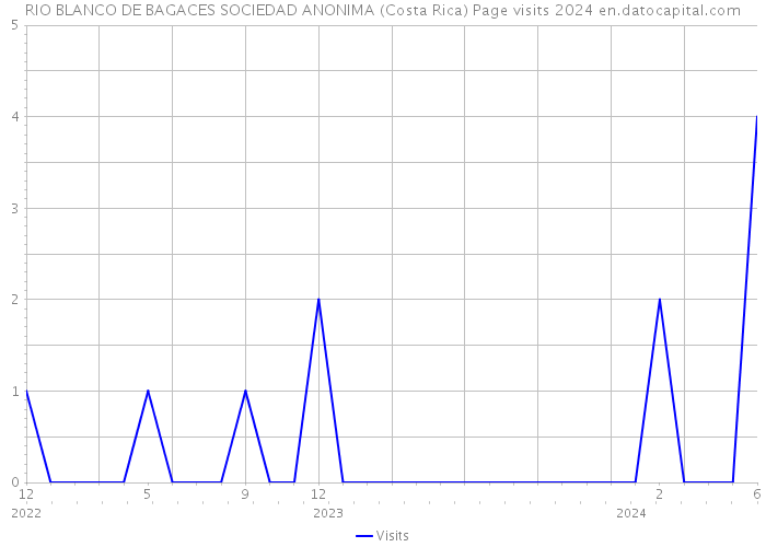 RIO BLANCO DE BAGACES SOCIEDAD ANONIMA (Costa Rica) Page visits 2024 