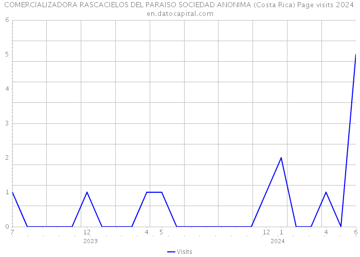 COMERCIALIZADORA RASCACIELOS DEL PARAISO SOCIEDAD ANONIMA (Costa Rica) Page visits 2024 