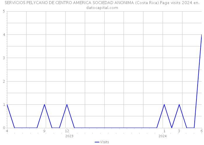 SERVICIOS PELYCANO DE CENTRO AMERICA SOCIEDAD ANONIMA (Costa Rica) Page visits 2024 