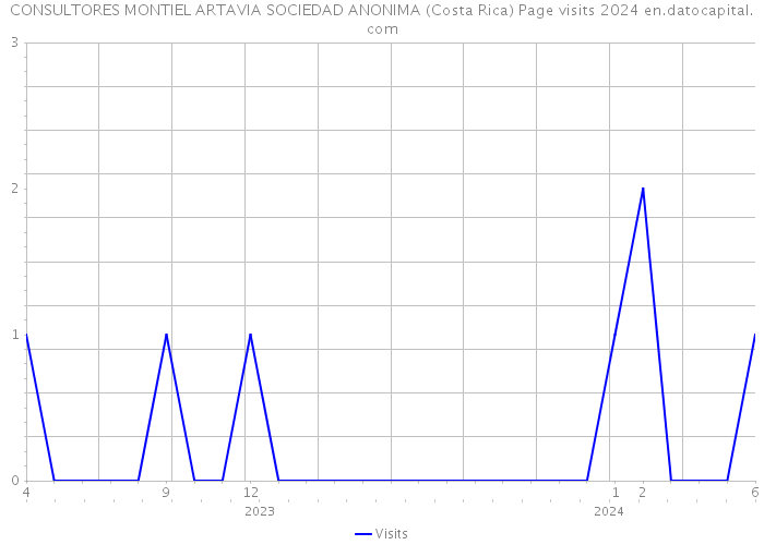 CONSULTORES MONTIEL ARTAVIA SOCIEDAD ANONIMA (Costa Rica) Page visits 2024 