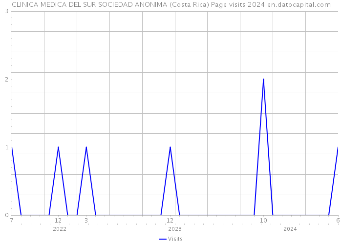 CLINICA MEDICA DEL SUR SOCIEDAD ANONIMA (Costa Rica) Page visits 2024 