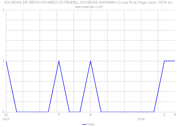 SOCIEDAD DE SERVICIOS MEDICOS FENDELL SOCIEDAD ANONIMA (Costa Rica) Page visits 2024 