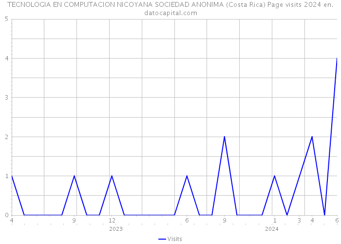TECNOLOGIA EN COMPUTACION NICOYANA SOCIEDAD ANONIMA (Costa Rica) Page visits 2024 