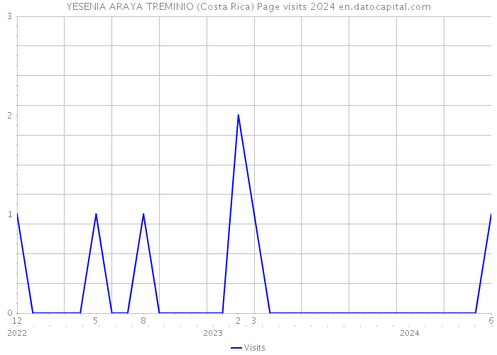 YESENIA ARAYA TREMINIO (Costa Rica) Page visits 2024 