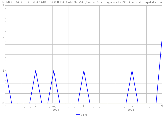 REMOTIDADES DE GUAYABOS SOCIEDAD ANONIMA (Costa Rica) Page visits 2024 