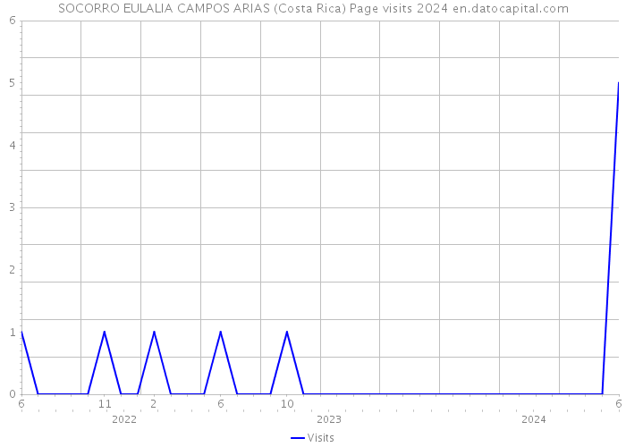 SOCORRO EULALIA CAMPOS ARIAS (Costa Rica) Page visits 2024 