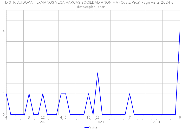 DISTRIBUIDORA HERMANOS VEGA VARGAS SOCIEDAD ANONIMA (Costa Rica) Page visits 2024 