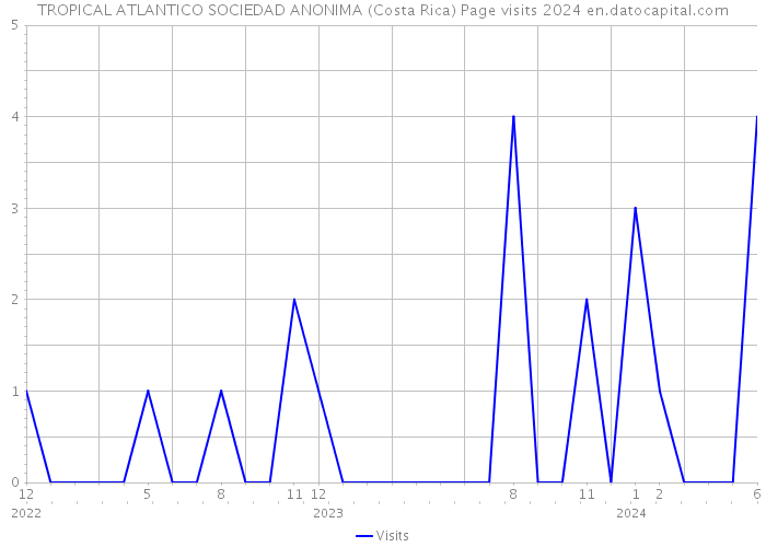 TROPICAL ATLANTICO SOCIEDAD ANONIMA (Costa Rica) Page visits 2024 